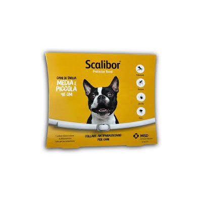 COLLARE SCALIBOR M/P cm 48