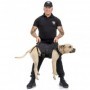 PETTORINA COMBAT-DOG NERA