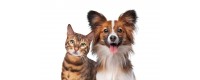 ACCESSORI CANE/GATTO