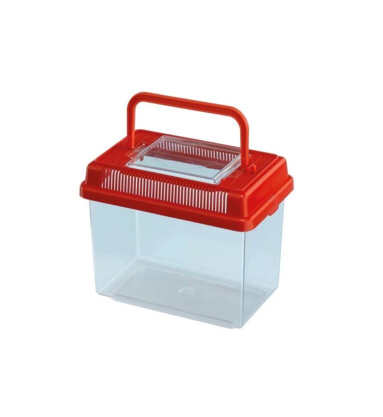 ACQUARIO GEO Small