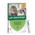 ADVANTAGE Spot On 40 Gatto/Coniglio