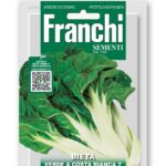 BIETA VERDE C. BIANCA 2 gr 50 Franchi