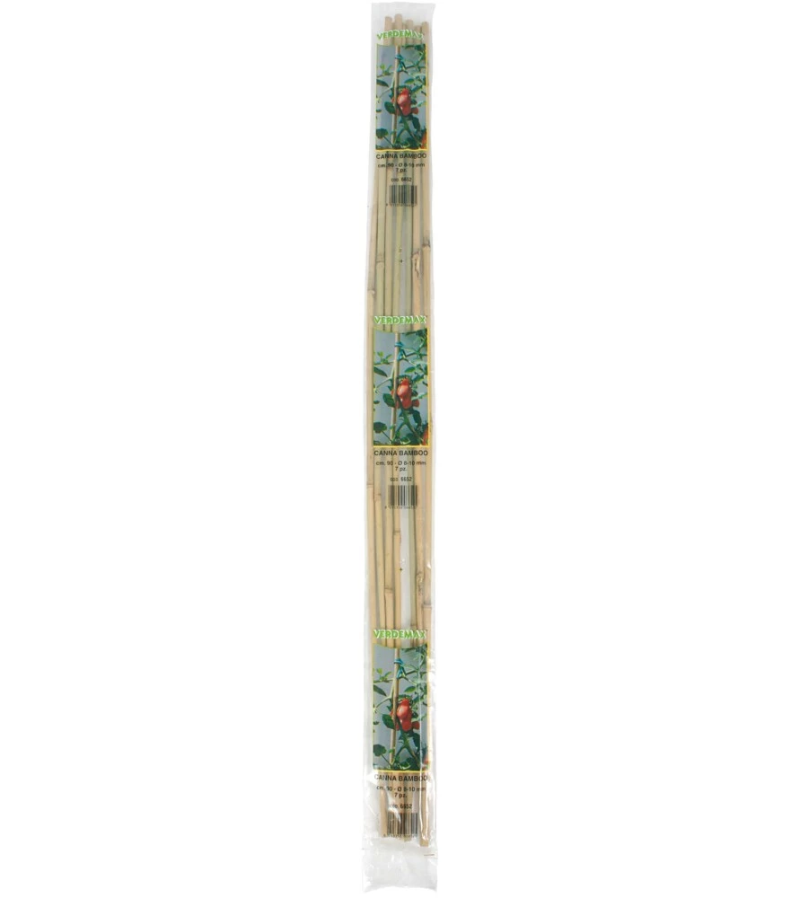 CANNA BAMBOO H. 150 D. 12/14 PZ. 3 CANNA BAMBOO H. 150 D. 12/14 PZ. 3