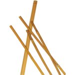 CANNA BAMBOO H. 75 D. 8/10 PZ. 10