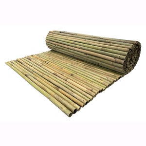 CANNICCIO ARELLA RIVER m 1x3 CANNICCIO ARELLA RIVER m 1x3