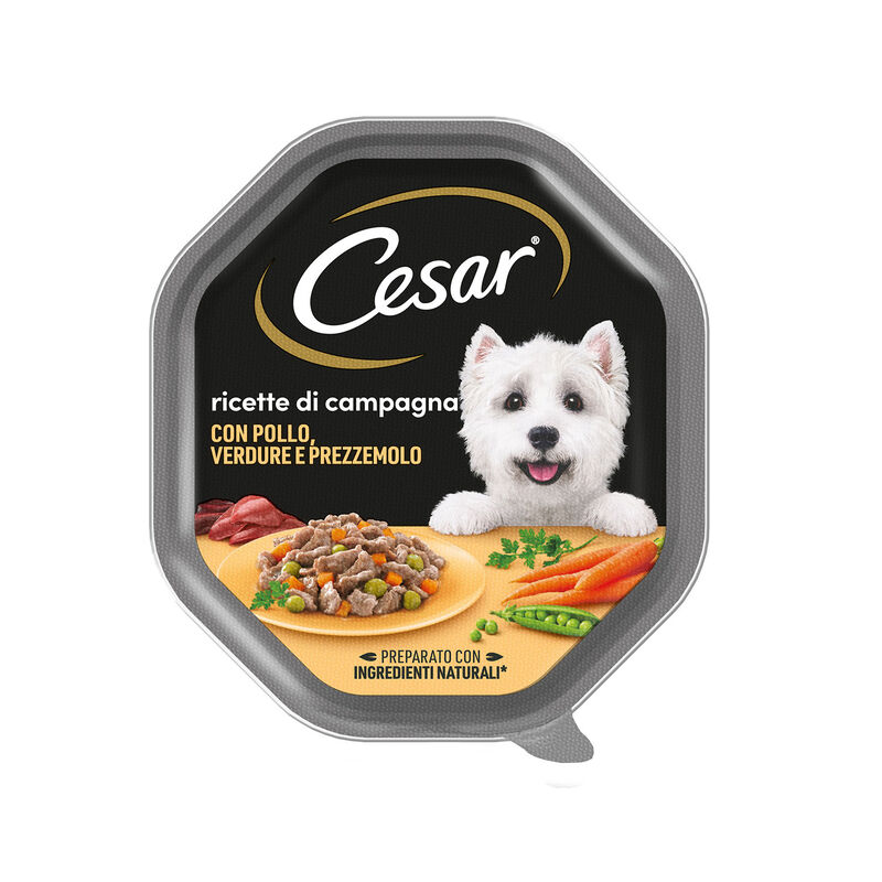 CESAR gr 150 SALSA CESAR gr 150 SALSA