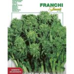 CIMA RAPA PRECOCE 40/A gr 100 Franchi