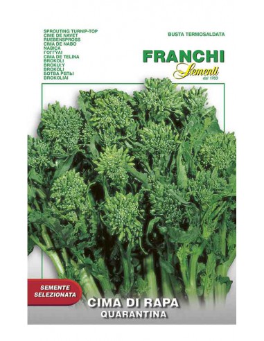 CIMA RAPA PRECOCE 40/A gr 100 Franchi