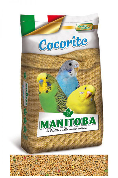 COCORITE PERRUCHE BISCOTTO kg 20
