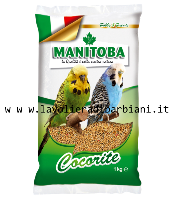 COCORITE PERRUCHE c/BISCOTTO kg 1