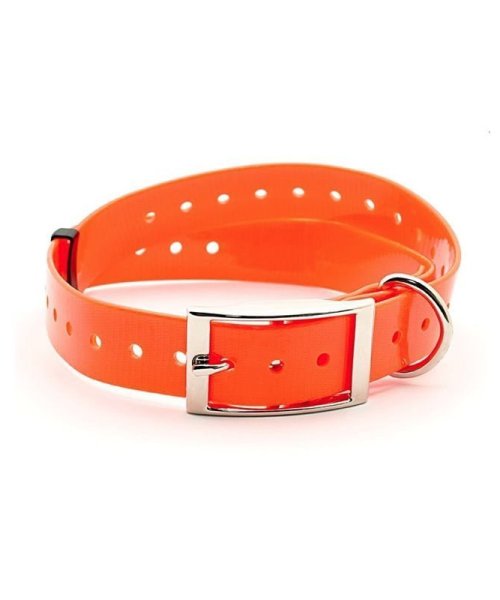 COLLARE CLUB 20/560 Arancio