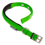 COLLARE DAYTONA 20/43 Verde