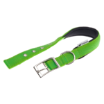 COLLARE DAYTONA 25/45 Verde