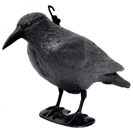CORVO SPAVENTAPASSERI