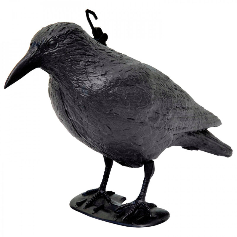 CORVO SPAVENTAPASSERI
