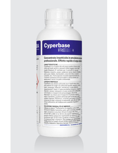 CYPERBASE Lt 1 CYPERBASE Lt 1