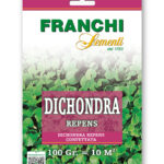 DICHONDRA REPENS gr 100 Franchi