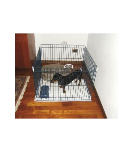 DOG TRAINING RECINTO Nero