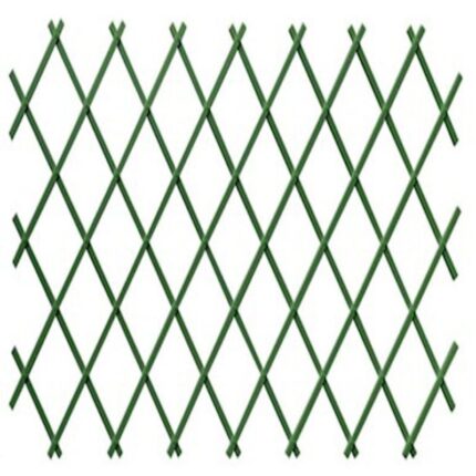 ESTENSIBILE PLASTICA 1x3 Verde
