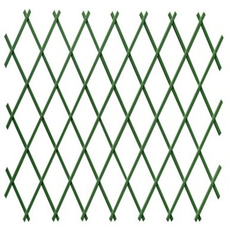 ESTENSIBILE PLASTICA 1x3 Verde ESTENSIBILE PLASTICA 1x3 Verde