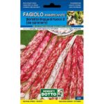 FAGIOLO Ramp. LINGUA DI FUOCO gr 250