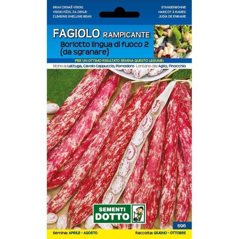 FAGIOLO Ramp. LINGUA DI FUOCO gr 250