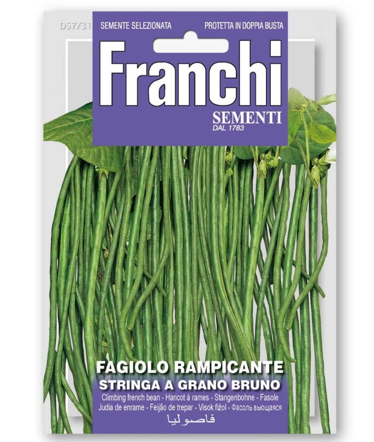 FAGIOLO Ramp. STRINGA G.BRUNO gr 100