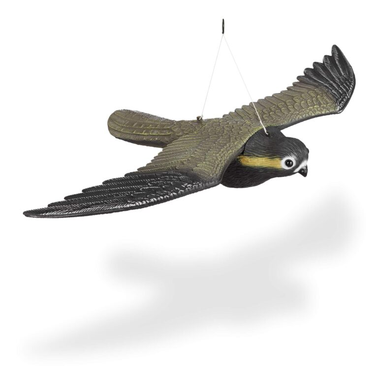 FALCO SPAVENTAPASSERI