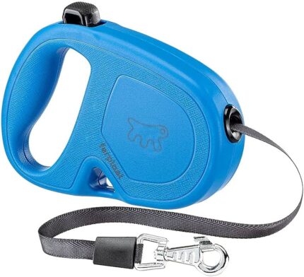 FLIPPY ONE TAPE SMALL Blu