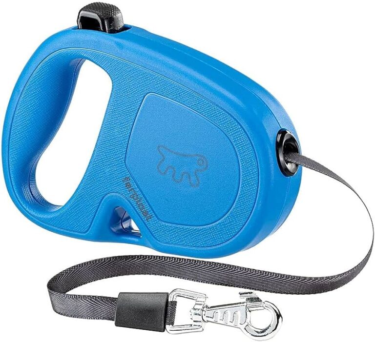 FLIPPY ONE TAPE SMALL Blu