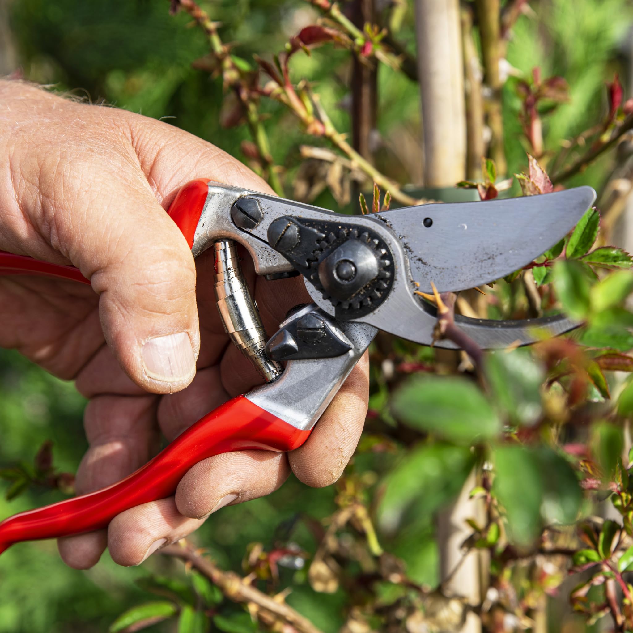 FORBICE VIGNA FELCO 9 Ergonomica FORBICE VIGNA FELCO 9 Ergonomica
