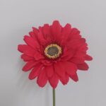 GERBERA x2 Art.8493X