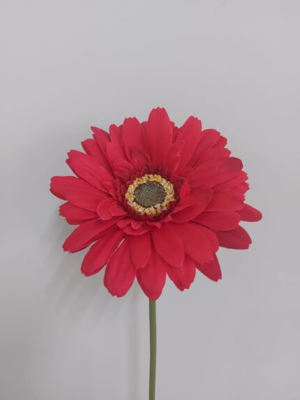 GERBERA x2 Art.8493X