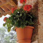 GERLA DOMUS c/SOTTOVASO cm 30