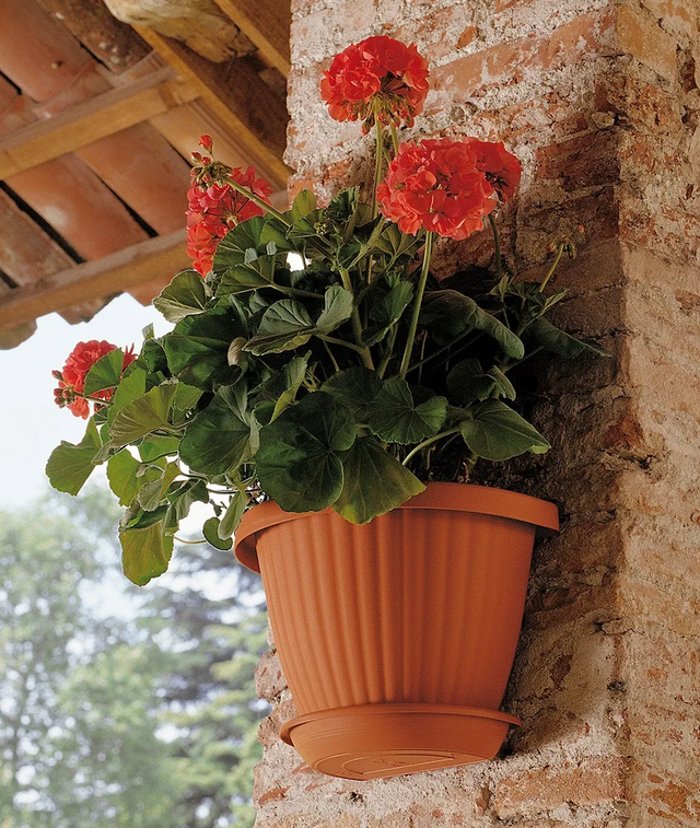 GERLA DOMUS c/SOTTOVASO cm 30 GERLA DOMUS c/SOTTOVASO cm 30