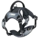GUINZAGLIO CLUB 25/45 Grigio