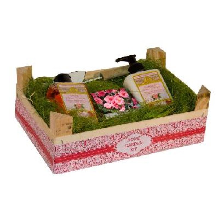 HOME GARDEN KIT Camelia HOME GARDEN KIT Camelia