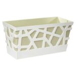 LIVING FLOWERBOX ONE cm 25 Pistacchio