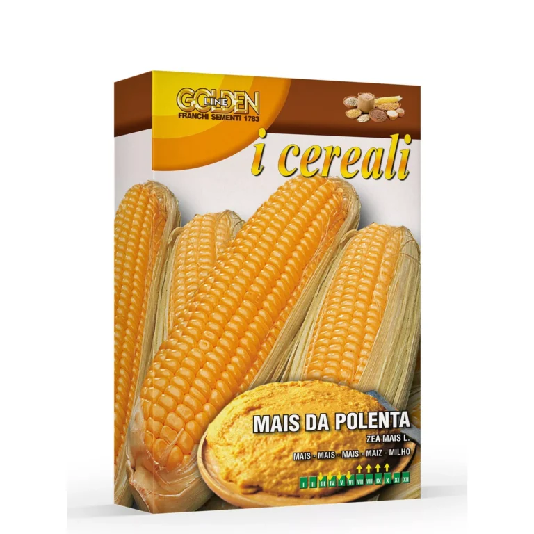 MAIS POLENTA gr 100 Franchi