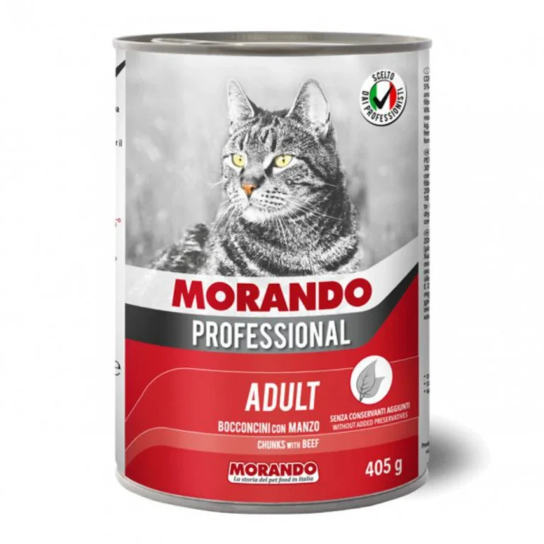 MORANDO PROF. GATTO Boc. gr 405