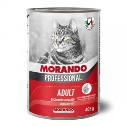 MORANDO PROF. GATTO Boc. gr 405 Manzo