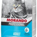 MORANDO PROF. GATTO Prof. kg 15