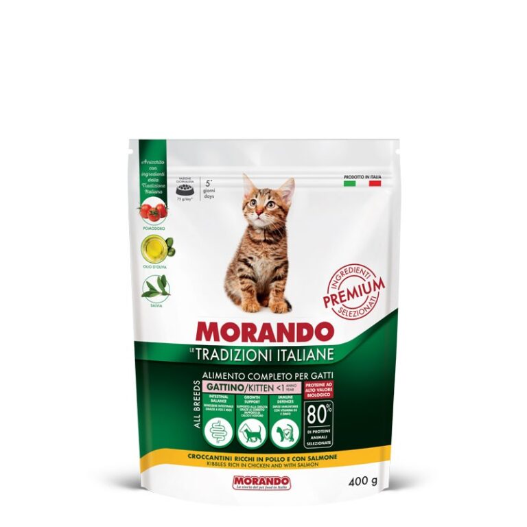 MORANDO PROF. GATTO TRAD ITA gr 400