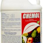 OLIO BIANCO FU  Lt 5