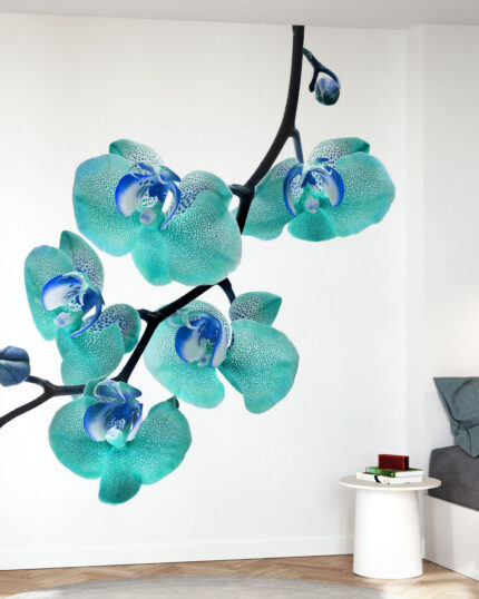 ORCHIDEA CRISTINA Art.8170X