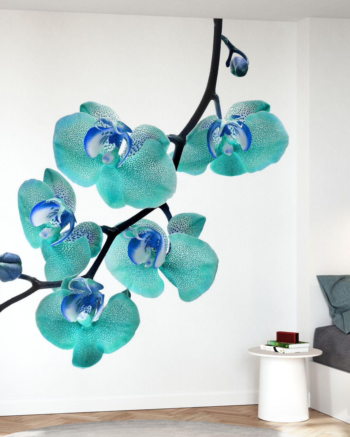 ORCHIDEA CRISTINA Art.8170X ORCHIDEA CRISTINA Art.8170X