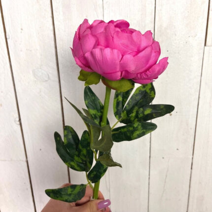 PEONIA H.65 D.10 cm Cod.9765X