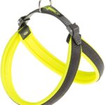 PETTORINA AGILA ERGOFLUO 5 Giallo