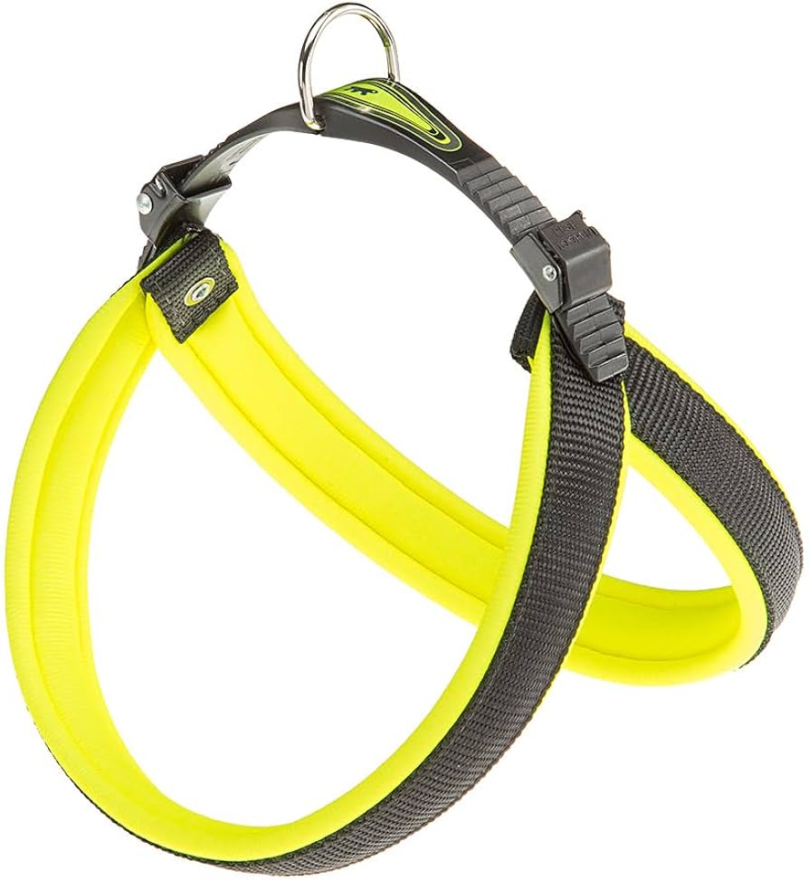 PETTORINA AGILA ERGOFLUO 5 Giallo PETTORINA AGILA ERGOFLUO 5 Giallo
