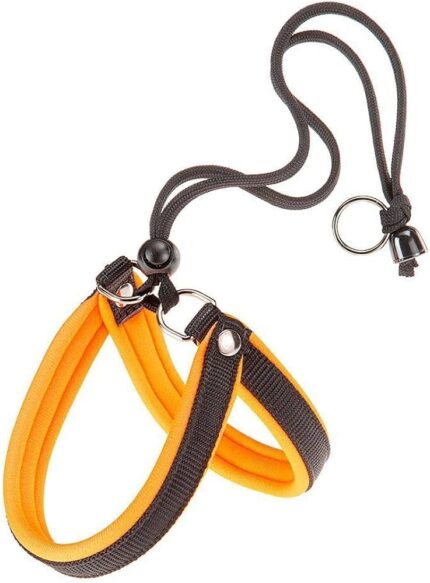 PETTORINA AGILA FLUO 1 Arancio
